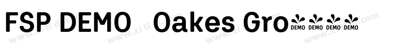 FSP DEMO   Oakes Gro字体转换